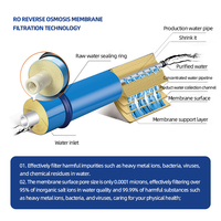 Système de filtration d'eau par osmose inverse double RO électrique anti-calcaire pour usage extérieur, en acier inoxydable, capacité 3T/H