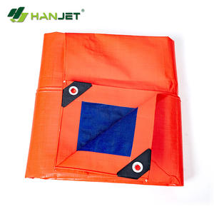 100-120 gsm <span class=keywords><strong>pe</strong></span>-plane blatt und rolle, alle größen und farben zur abdeckung verfügbar - Product Image 5