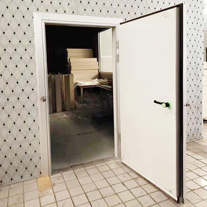 Porta a tenuta stagna per celle frigorifere, porta a battente seminterrata per celle frigorifere, porta per celle frigorifere per la conservazione della frutta - Product Image 2