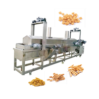 Continue, hoogproductieve, volautomatische lijn voor de verwerking van pinda's en brede bonen met mixer en friteuse voor frituurproductie