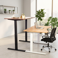 Bureau en bambou écologique avec plateau en bambou, cadre réglable en hauteur électriquement, bureau assis-debout, bureau relevable