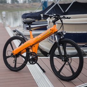 <span class=keywords><strong>Ecotric</strong></span> electrics 36v 500w e Bike bicycle aluminum alloy suspension lamp electric bicycle china - Product Image 4