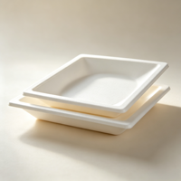 Assiette jetable carrée en bagasse de canne à sucre, résistante à l'huile, compostable, pour aliments chauds