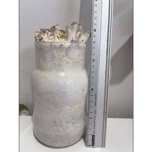 Bouteilles de culture de champignons en PP résistant aux hautes températures 850-1400 ml pour les champignons King Oyster/enoki - Product Image 5