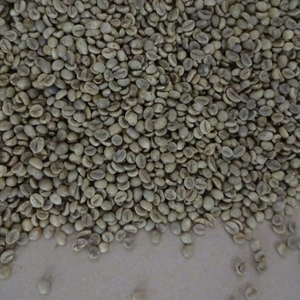 เมล็ดกาแฟโรบัสต้าเวียดนาม 100% เวียดนาม โรบัสต้า ผลผลิตใหม่ เกรด 1 ขัดเงาแบบเปียก ได้รับการรับรองมาตรฐาน ISO บรรจุถุงปอกระเจา 60 กก. รับผลิตแบบ OEM/ODM ราคาถูก - Product Image 1