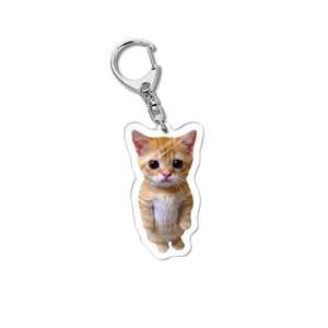 Divertido gato Memes serie llavero estudiante regalo bolsa cordón mujer bolso colgante llavero cosas lindas regalo barato para mejores amigos - Product Image 6