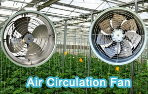 Ventilador Axial de Gran Caudal y Bajo Ruido, Independiente, OEM/ODM, 50Hz, Ventilación Industrial, Precio Económico de Fábrica, Logotipo Personalizado - Product Image 3