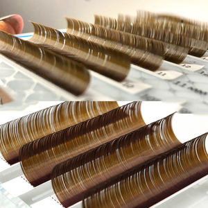 निः शुल्क नमूना चॉकलेट रंग भूरे रंग की व्यक्तिगत आंखों के लिए आसान ऑटो पंखे ब्राउन थोक कैशबैक एक्सटेंशन ट्रे - Product Image 1