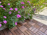 Dalles de terrasse emboîtables en bois d'acacia européennes 300*300*20mm, lisses, imperméables, certifiées Intertek, garantie 2 ans, pour extérieur et maison