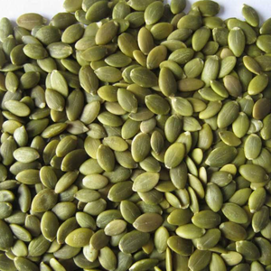 Fornitori Professionali Esportano Semi di <span class=keywords><strong>Zucca</strong></span> Naturali di Alta Purezza dalla Cina - Product Image 3
