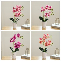 Film imprimé en 3D MSH avec un toucher réaliste d'orchidée Phalaenopsis pour la décoration de bureau