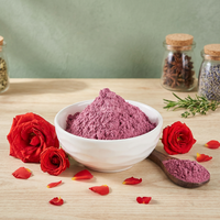 Poudre de rose instantanée de qualité alimentaire, soluble dans l'eau, en vrac, en fût, pour boissons et transformation alimentaire