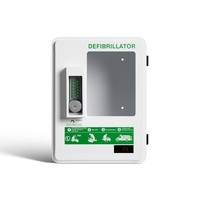 Armoire murale chauffante extérieure WAP-M3KH avec serrure à combinaison et système de chauffage