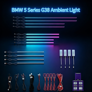 Luce Ambientale per Auto BMW Serie 5 Gl F07 10-17, 16 LED Arcobaleno Controllabili via Schermo, Strisce Luminose Impermeabili con Sincronizzazione Musicale - Product Image 2