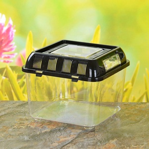Cage en plastique PP transparent pour reptiles, boîte d'élevage ventilée pour gecko, <span class=keywords><strong>araignée</strong></span>, insecte, <span class=keywords><strong>terrarium</strong></span> - Product Image 3
