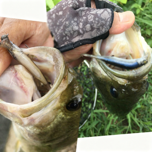 Swimbait souple à queue aiguille 80mm 2.5g |   <span class=keywords><strong>Leurre</strong></span> de pêche 3D à texture réaliste pour achigan et brochet (MOQ 20, OEM/ODM disponible) - Product Image 5