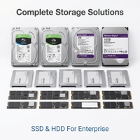 Drive Penyimpanan Grosir Berbagai Ukuran - M.2 NVMe SSD, 2.5 inch SATA SSD, 3.5 inch HDD Surveillance untuk Desktop Laptop
