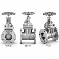 Katup Gerbang Baja Berflens Tugas Berat Manual Z41W CF8 PN16 dengan Dudukan Logam untuk Aplikasi Industri Minyak & Gas