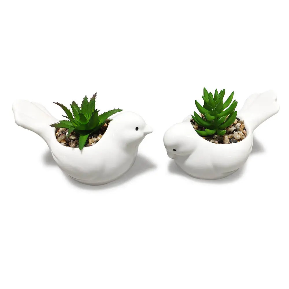 Pots de fleurs succulentes en céramique au design pigeon blanc avec logo personnalisé pour la décoration de jardin à la maison pots de jardinières