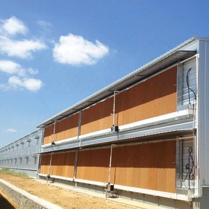 Volledig Automatische Vijzel Voersysteem Pluimveehouderij Voersysteem <span class=keywords><strong>Feeder</strong></span> Apparatuur Voor Vleeskuikens Kip - Product Image 6