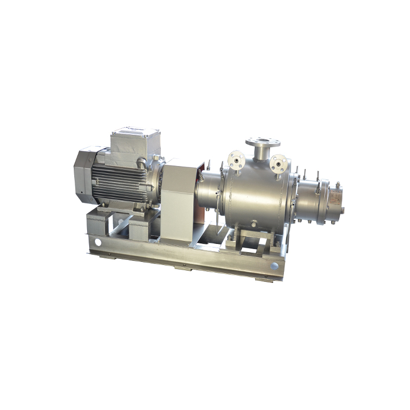 High temperature Stainless Steel High Viscosity Liquid Transfer Twin Screw Pump