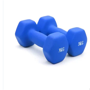 Đầy Màu sắc Rắn cao su tráng quả tạ 10kg cơ bắp Toning quả tạ đặt - Product Image 2