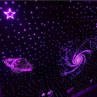 Luces Decorativas de Techo con Efecto de Cielo Estrellado, Proyector de Estrellas LED de Fibra Óptica de Plástico para KTV, Cine, Cine en Casa, Cielo Nocturno