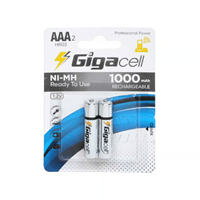 Hr03 Aaa Oplaadbare Nimh Batterij 1000Mah 1.2V Oplaadbare Batterij