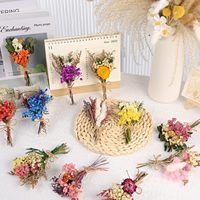 Mini Bouquet de Fleurs Séchées Herbe de la Pampa Naturelle Décoration Carte de Noël Accessoires Photo DIY Boîte Cadeau Fête