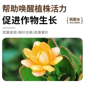 محلول سماد الألوم النباتي العضوي القابل للذوبان في الماء يلبي احتياجات التغذية للنباتات ويمنع أمراض الاصفرار - Product Image 5