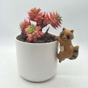 Maceta de Cerámica con Borde Decorativo, Soporte para Macetas, Adorno de <span class=keywords><strong>Koala</strong></span> Colgante, Soporte para Pecera, Terrario, Jardín Moderno - Product Image 6