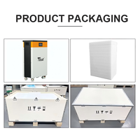 Système de Stockage d'Énergie Domestique Teze 51.2V 314Ah 300Ah 16KWh, Batterie Lithium Lifepo4 Powerwall pour Solaire Résidentiel