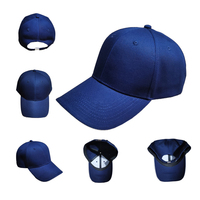 Groothandel Hoge Kwaliteit Zwarte Gebogen Klep Gestructureerde 6-Panelige Katoenen Sportieve Team Baseball Caps Met Aangepaste Borduring