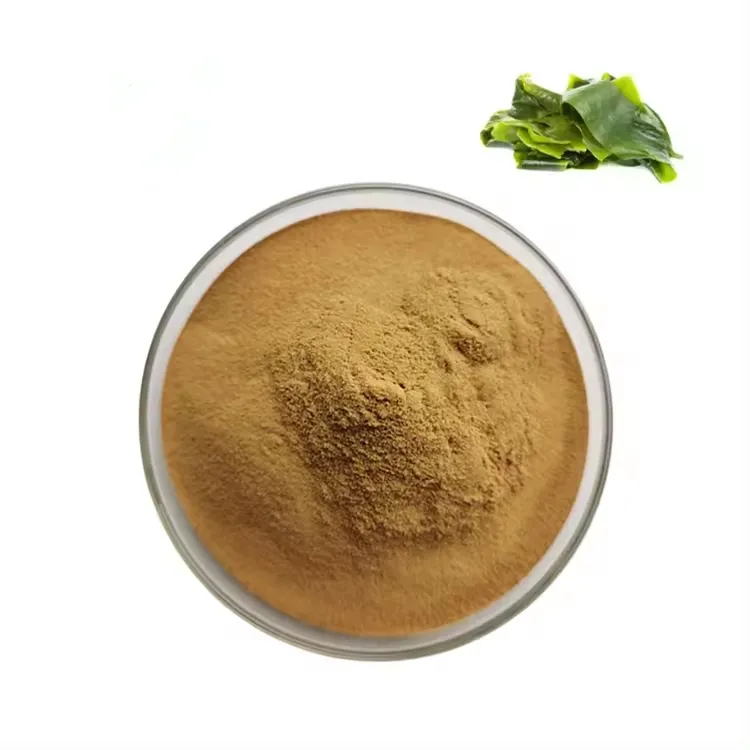 Top Quality Whosale Natural Warehouse kelp extract Powder seaweed powder 100% Natural