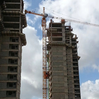 Mini-grue à tour HAISHAN 3T QTZ31.5-HS4207 avec boîte de vitesses, moteur à engrenages et roulement - Équipement de construction à haute efficacité