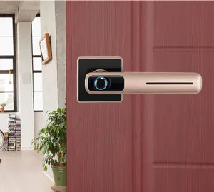 Biometric Door Lock Hot Sales Smart Electronic Simple House Key Biometric Fingerprint Room Door Lock For Office Hose Room Residence Apartment VILLA