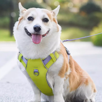 Prix usine rapide sur et hors sangles en polyester harnais pour chien en tissu Oxford bande réfléchissante 360 ° pour chiens