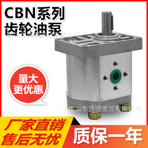 Pompe à engrenages hydraulique série CBN-F304 en fonte pour système hydraulique industriel - Product Image 3