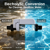 Sel de piscine Machine à chlore Générateur de chlore de sel de piscine Système de chloration 4-20g Contrôle d'application mobile