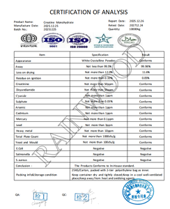 Creatina Monohidrato en Polvo RAINWOOD, Creatina Monohidrato Pura Sin Sabor con Empaque Privado OEM para Antes del Entrenamiento - Product Image 3