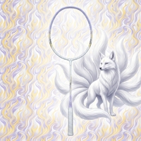 Raquette de badminton Dream Color de qualité professionnelle en aluminium PU légère, de haute qualité, durable, avec un manche en acier pour les joueurs avancés