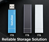 Clé USB Haute Capacité Pen Drive 1 To 128 Go 64 Go 256 Go Sandisk 2 To 16 To USB 3.0