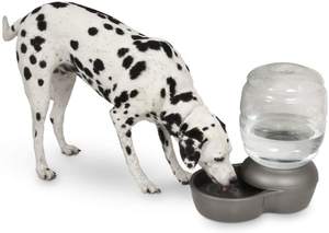 Bol à eau pour chien sans déversement Distributeur d'eau pour animaux de compagnie à alimentation lente de grande capacité pour chiens - Product Image 5