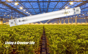 Luz <span class=keywords><strong>HPS</strong></span> profesional de doble extremo de 1000W para crecimiento de plantas, Floración interior, clasificación IP65, cuerpo de vidrio cerámico 4000K fabricado HID - Product Image 6