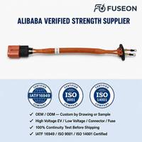 Kabel Tegangan Tinggi XLPE Terperisai Fleksibel Tinggi 600V IP67 untuk Koneksi Inverter Motor EV OEM Kustom