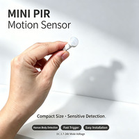 Détecteur PIR miniature en gros d'usine DC3-24V avec sonde séparée flexible, interrupteurs intelligents à temporisation personnalisée pour armoire et bande LED
