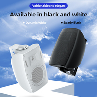 Système de sonorisation PA mono 2 zones, kit de musique d'ambiance, télécommande pour café, restaurant, solution audio commerciale 200W, enceintes murales