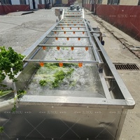 Voedselverwerkingsbedrijf 304 roestvrijstalen bubbelwasmachine reiniging voor fruit, groenten en verpakte voedselverwerking
