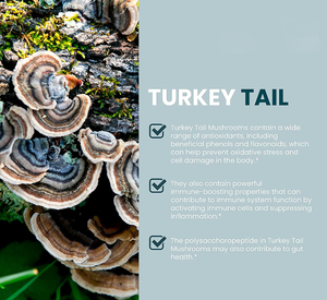 ของเหลวหยดตุรกีสารสกัดจากหางเห็ดหยดผลิตภัณฑ์เสริมอาหาร - Product Image 2