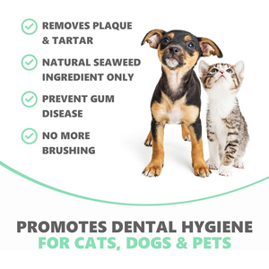 Poudre d'hygiène dentaire pour chiens Contrôle du tartre Prévention <span class=keywords><strong>de</strong></span> la mauvaise haleine Chats - Product Image 2